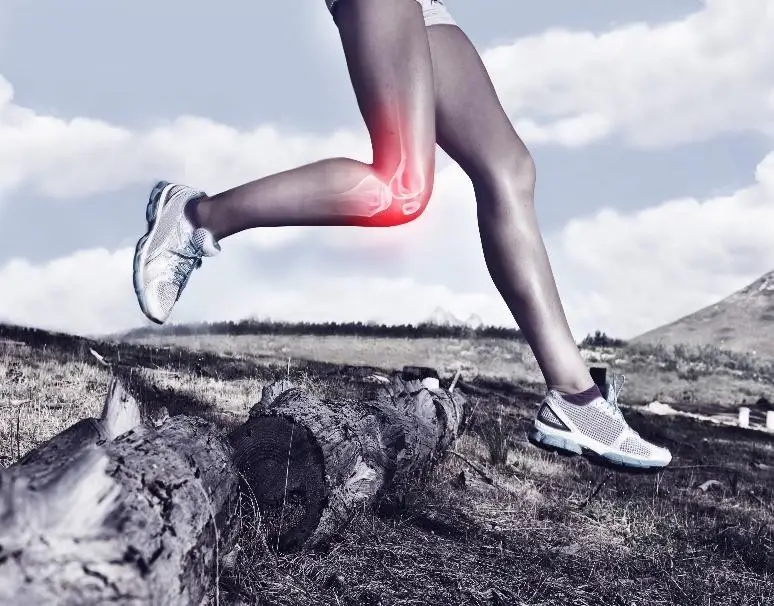 acl injury