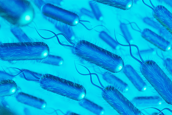 17-HealthPulseWhat is Salmonella small