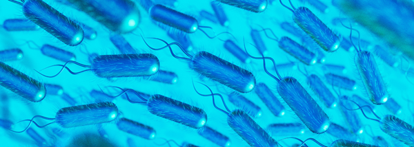 17-HealthPulseWhat is Salmonella