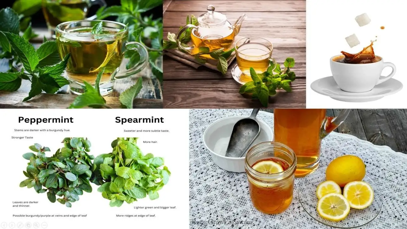 BEYOND THE BURN UNDERSTANDING ACID REFLUX-5 image