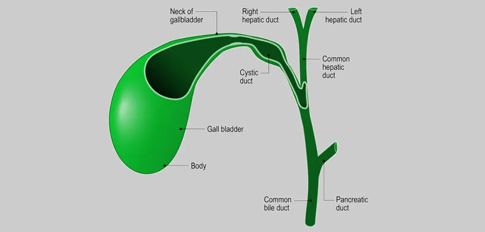 GONE BUT NOT FORGOTTEN 3