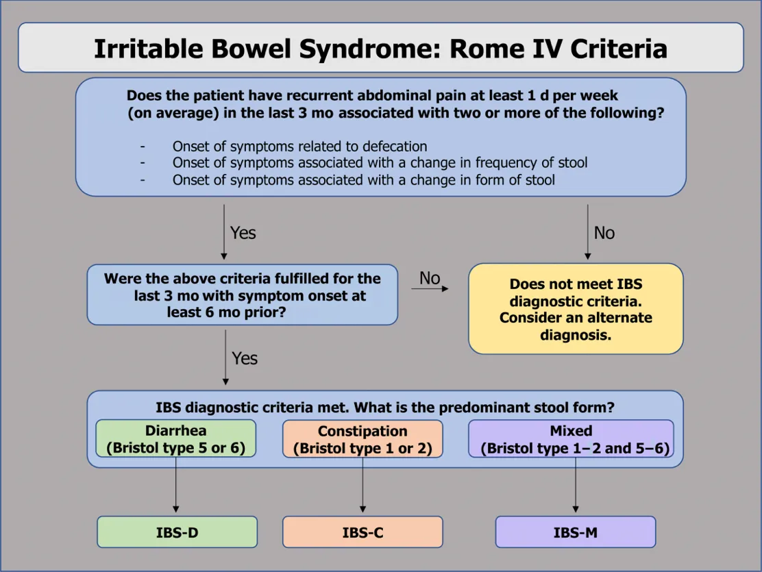 IRRITABLE BOWEL SYNDROME 4