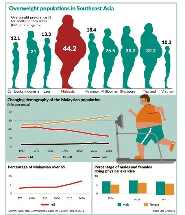 UNDERSTANDING FATTY LIVER DISEASE12