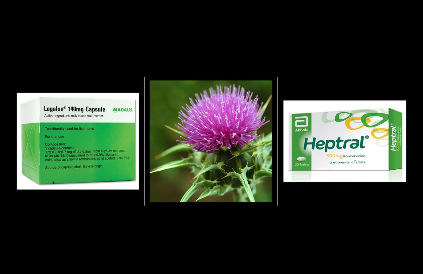 UNDERSTANDING FATTY LIVER DISEASE14