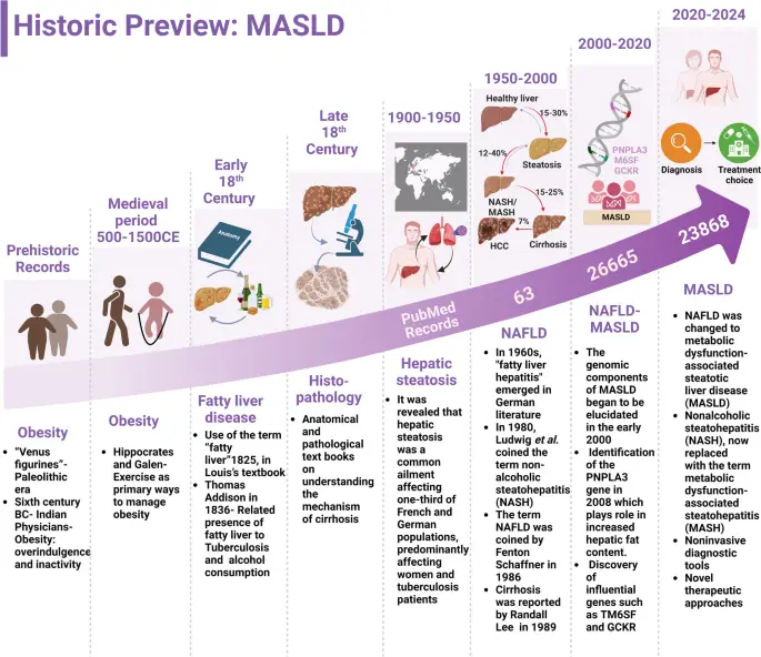 UNDERSTANDING FATTY LIVER DISEASE2 image